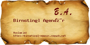 Birnstingl Agenór névjegykártya